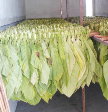 �՚��ܟ�ú�əC